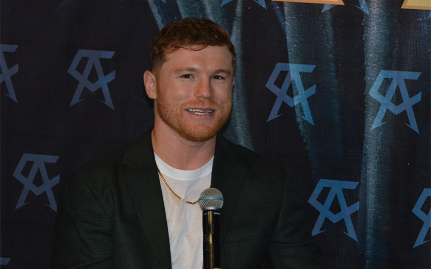 canelo alvarez net worth